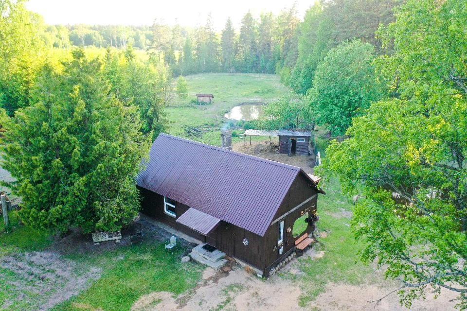 Private Farm Jakuzzi Sauna In The Forest Talsi Eksteriør billede