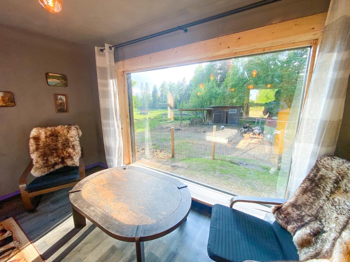 Private Farm Jakuzzi Sauna In The Forest Talsi Eksteriør billede