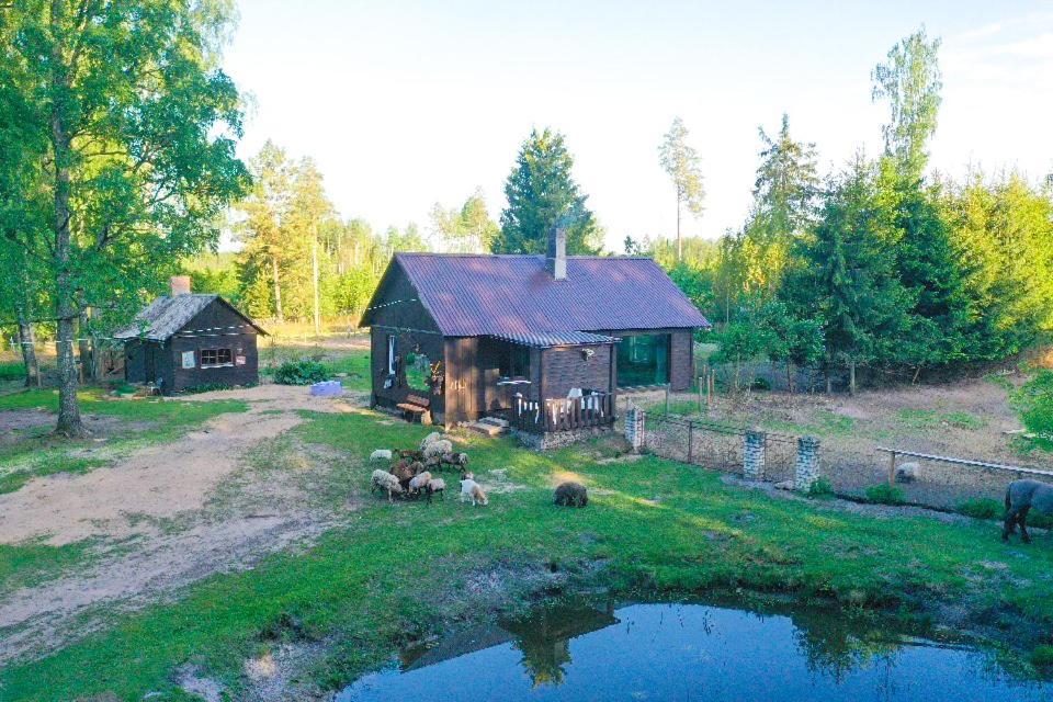 Private Farm Jakuzzi Sauna In The Forest Talsi Eksteriør billede